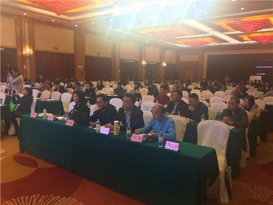 2018廣東第五屆（肇慶）新型墻材技術(shù)交流大會(huì)