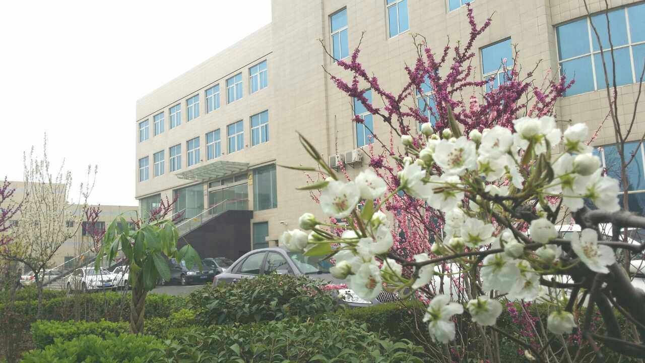 為什么銀馬是知名的砌塊磚機廠家 為什么銀馬是知名的砌塊磚機廠家