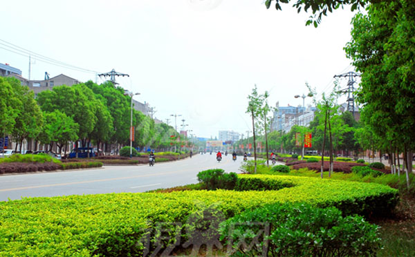 環(huán)保透水磚機廠家