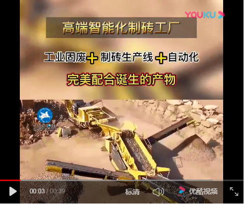 荷蘭磚制磚機生產(chǎn)荷蘭磚實拍視頻